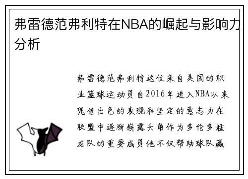 弗雷德范弗利特在NBA的崛起与影响力分析